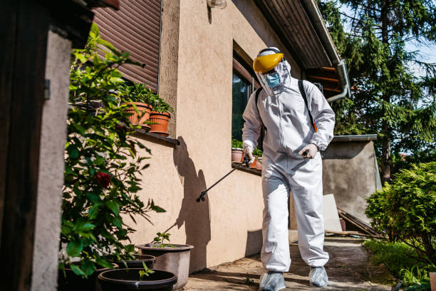 Best Wildlife Control Services  in Alderson, WV