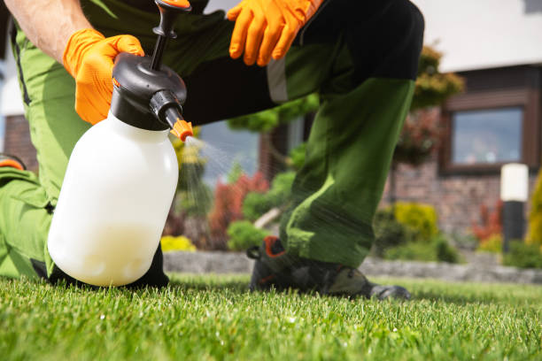 Best Insect Control  in Alderson, WV