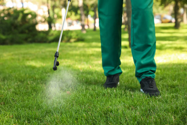 Best Exterminator Services  in Alderson, WV