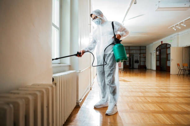 Reliable Alderson, WV Pest Control Solutions